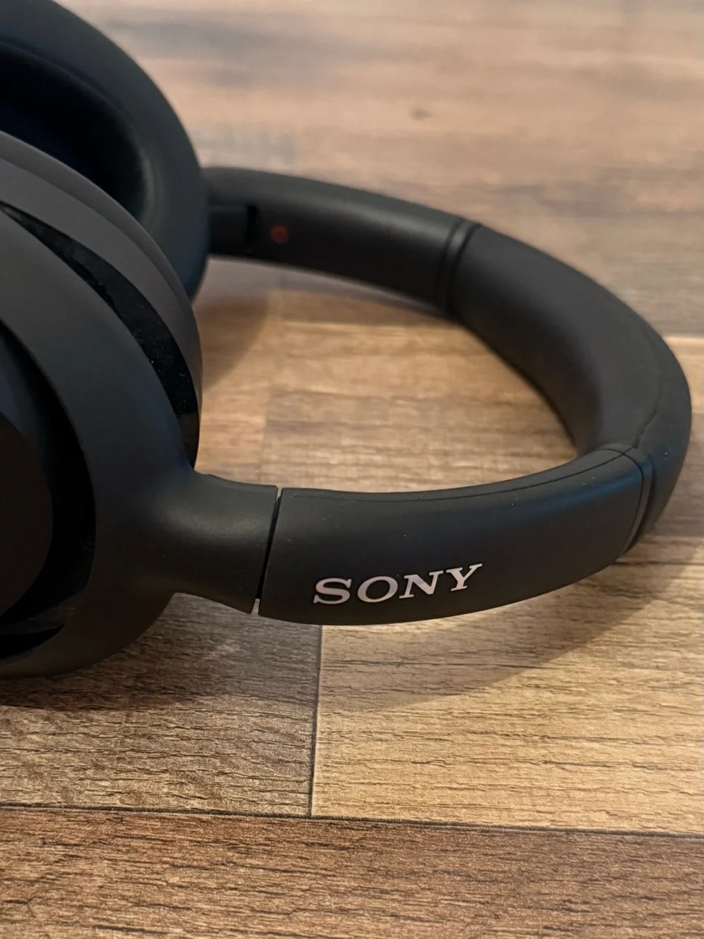 Sony Black Headphones